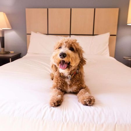 Sonesta Simply Suites Columbus Airport Gahanna Buitenkant foto