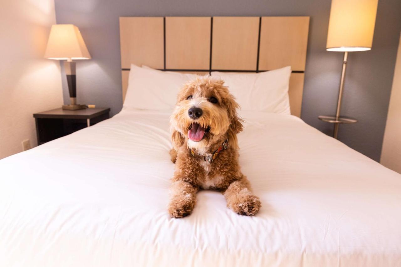 Sonesta Simply Suites Columbus Airport Gahanna Buitenkant foto